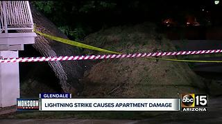 Lightning strikes causes tree to topple over on apartment complex