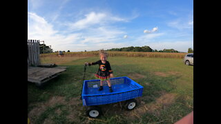 Delilah Goes To The Corn Maze