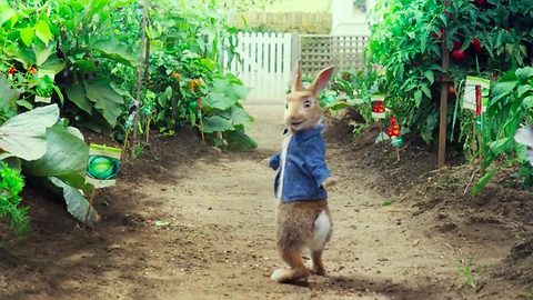 Peter Rabbit FuLL'M.o.V.i.E''2018''
