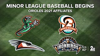 The minor leagues are back