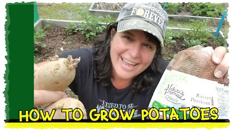 How to grow potatoes video