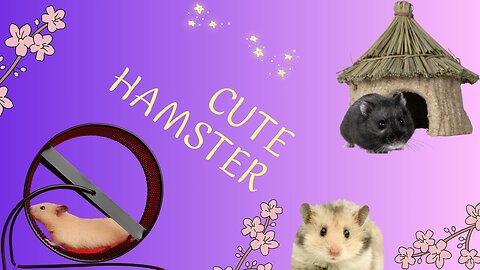 Cute hamster