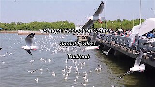 Bangpu Recreation Center at Samut Prakan, Thailand