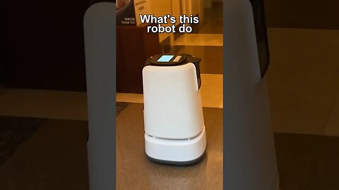 What's This Robot Do?