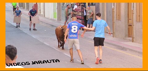 CERVERA DEL RIO ALHAMA ( LA RIOJA ) TARDE VACAS CALLE ( JUEVES 9 JUNIO 2022 ) MERINO