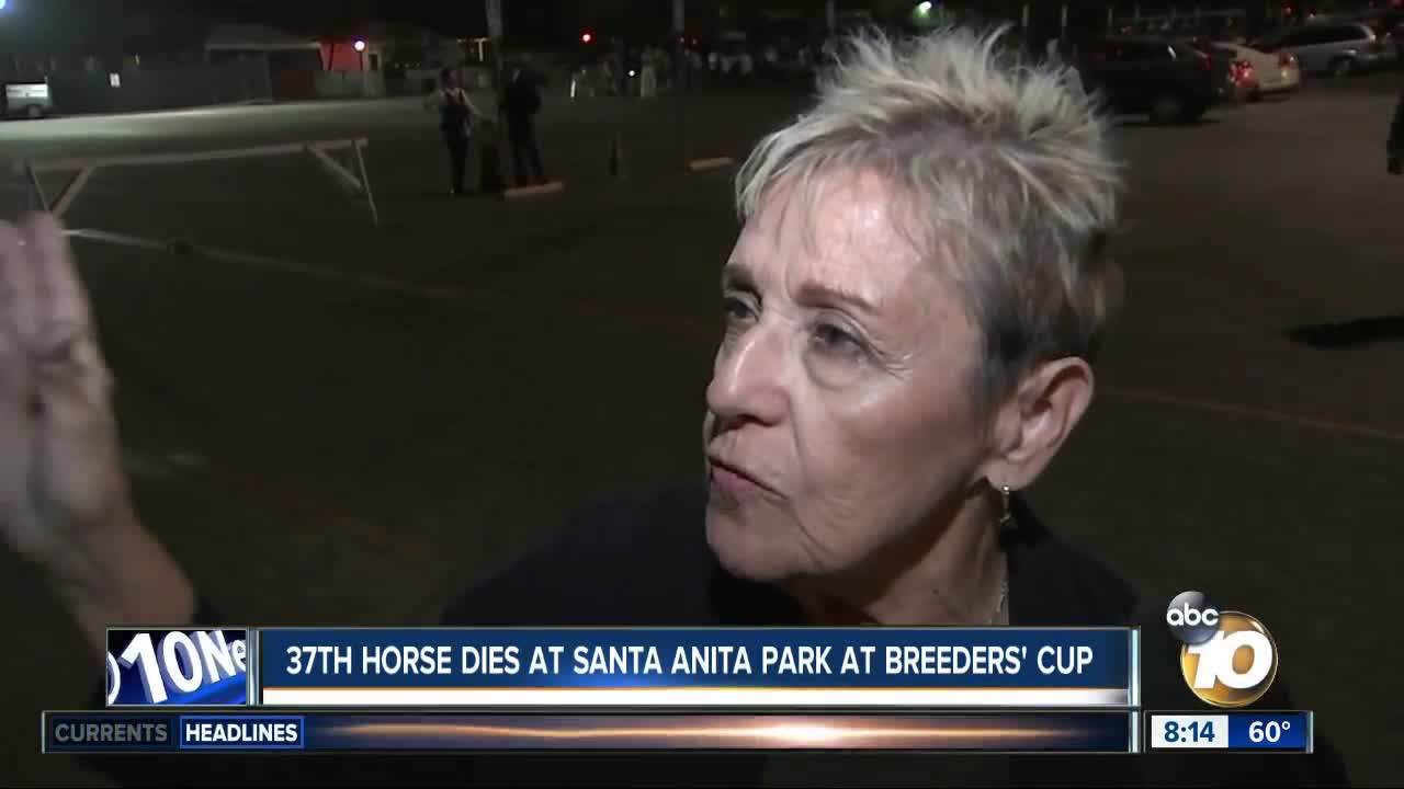 37th horse dies at Santa Anita Park