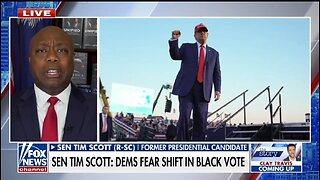 Sen Tim Scott: You're Hearing Fear From Democrats