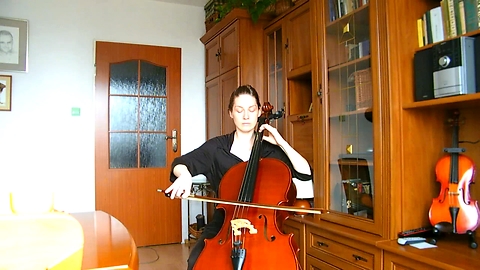 Interpretation of the work Nobuo Uematsu on cello solo