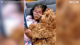 Menina faz cão dormir contando historia para ele