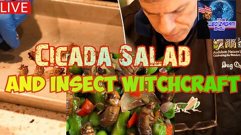 CICADA SALAD AND INSECT WITCHCRAFT