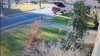 Professor Arrested After Being Caught on Camera Stealing Republican Yard Signs