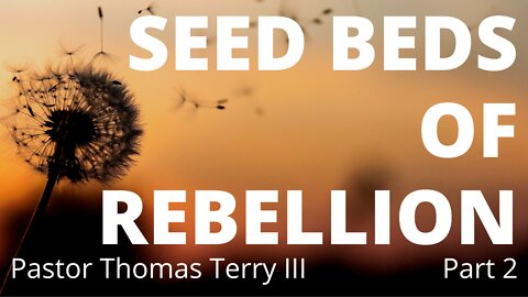 Seed Beds of Rebellion- Part 2