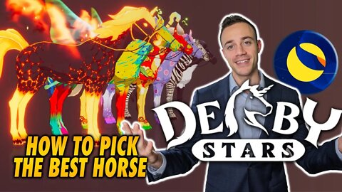 Derby Stars On Terra | How To Pick The Best Horse NFT!