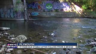 Teen boy in critical condition after falling from bridge into water at Hines Park