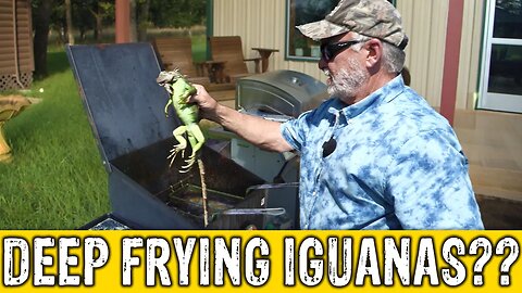 How to Cook Iguanas??