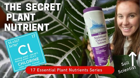 Chlorine Is An Essential Plant Nutrient?! Episode 2 of The Plantmas Marathon! 🌿🌱