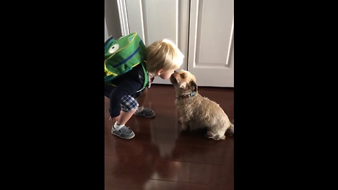 Kid kisses his dog goodbye before daycare