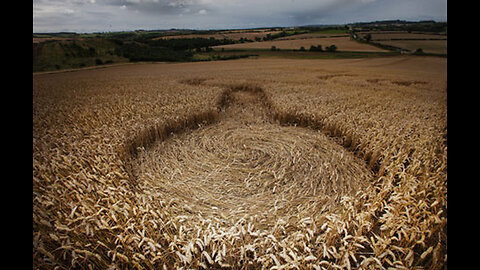 Crop Circles: What's Really Going On