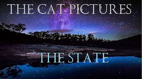 The Cat Pictures (feat. Valeria Lukyanova & Rena Bond) - The State