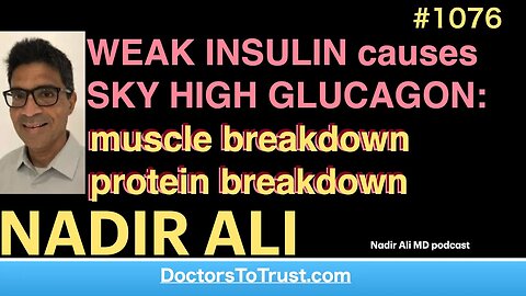 NADIR ALI c’ | WEAK INSULIN causes SKY HIGH GLUCAGON: muscle breakdown; protein breakdown