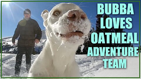 Bubba Loves Oatmeal Adventure Team - Trailer