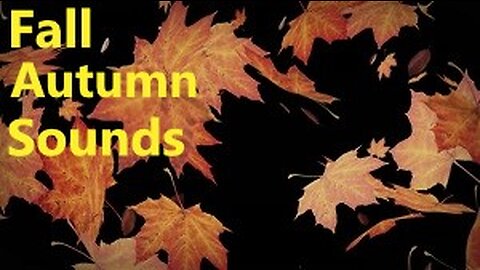 Mesmerizing Nature Sounds, Autumn Falling Leaves, Soothing Windy Sounds, for Relaxation Study Sleep