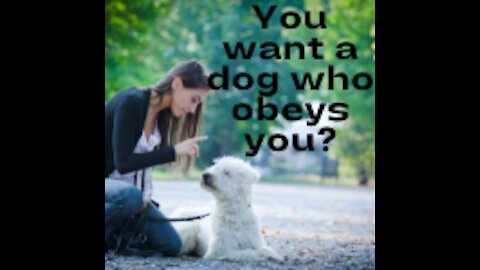 How to Train ANY DOG the basics- #DogTraining foundation