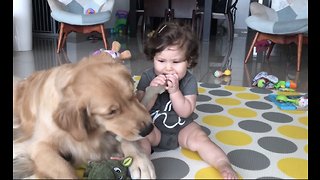 Dog let baby girl steal its stick