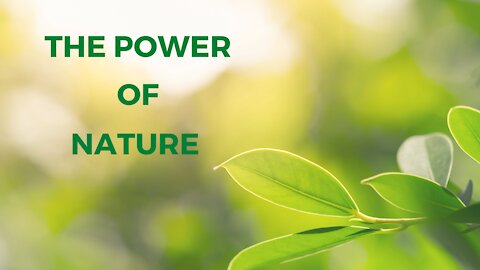 The Healing Power of Nature