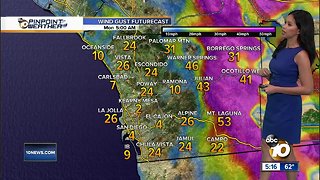 10News Pinpoint Weather for Sun. Jan. 20, 2019