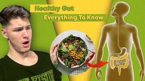 Gut Health Diet - Everything You Need To Know