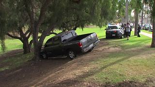 Chase ends with suspect crashing into tree