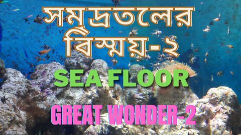 Sea Floor Great Wander-2 [সমুদ্রতলের বিস্ময়]