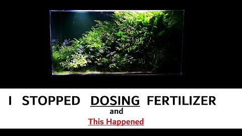 I stopped Dosing Fertilizer in my planted tank & this happened