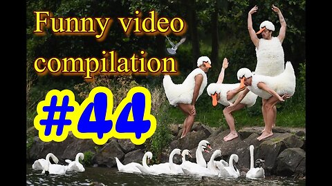 Funny video compilation #44