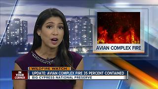 Avian Complex Fire 35 Percent Contained