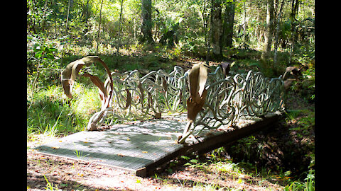 Hiking Barr Hammock Preserve, South Trails: Micanopy, Florida