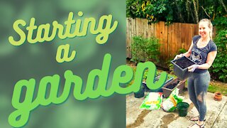 How to Start a Small Container Garden