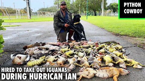 Hired To Take Out Iguanas During Hurricane Ian