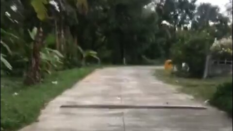 Cycling in the jungle and suddenly fell off it