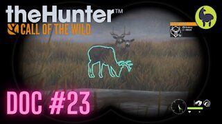 The Hunter: Call of the Wild, Doc #3