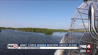 Army corps warns boaters about algae