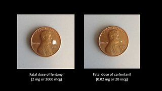 Drug experts warn of deadly Carfentanil in San Diego