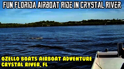 Fun must see Florida Airboat Ride in Crystal River, Ozello attraction Gulflife vacation