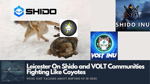 Leicester On #SHIDO and #VOLT Communities Fighting Like Coyotes Over Minting (Screens Included)