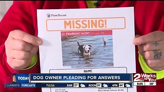 Dog owner pleads for answers
