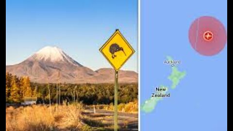 New Zealand M8.1 Earthquake! Volcanic Eruptions Could be TRIGGERED by Quakes! Expert Warns!