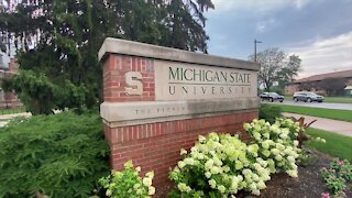 MSU-led program aims to train more nurses to assess and treat sexual assault survivors