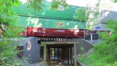 Norfolk Southern Intermodal Train from Front Royal, Virginia June 24, 2021