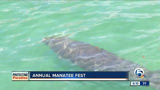 Annual Manatee Fest held in Riviera Beach